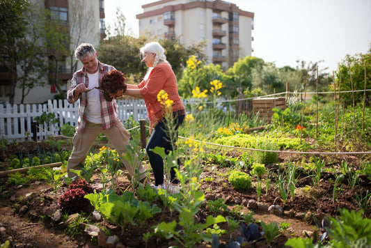 le calendrier des plantations