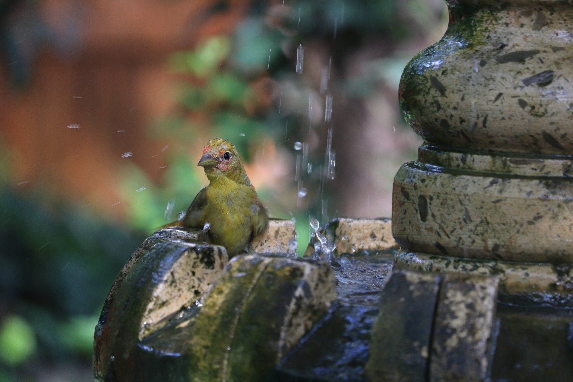 Fontaine de jardin pour oiseaux avec bacs à fleurs - Ferme Manon Fontaine de jardin pour oiseaux avec bacs à fleurs - Ferme Manon