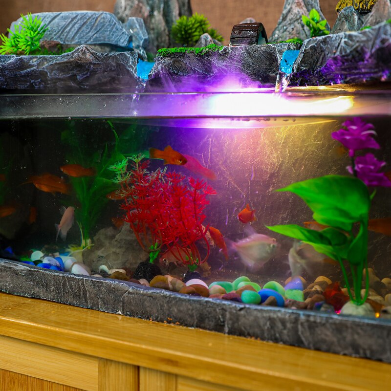 Aquarium a Fontaine