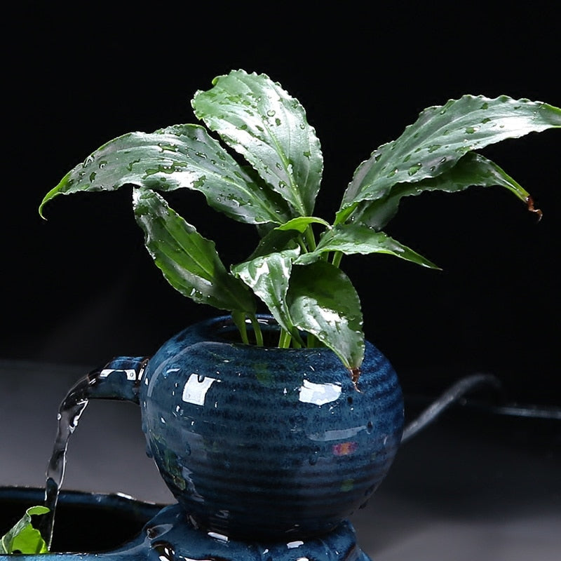Mini Fontaine Zen
