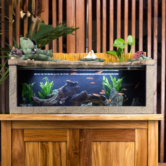 Aquarium Fontaine a Eau