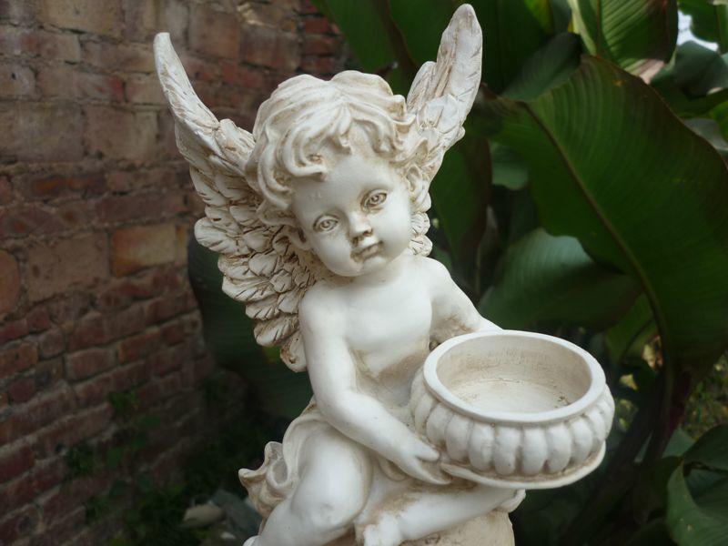 Baignoire à oiseaux extérieur