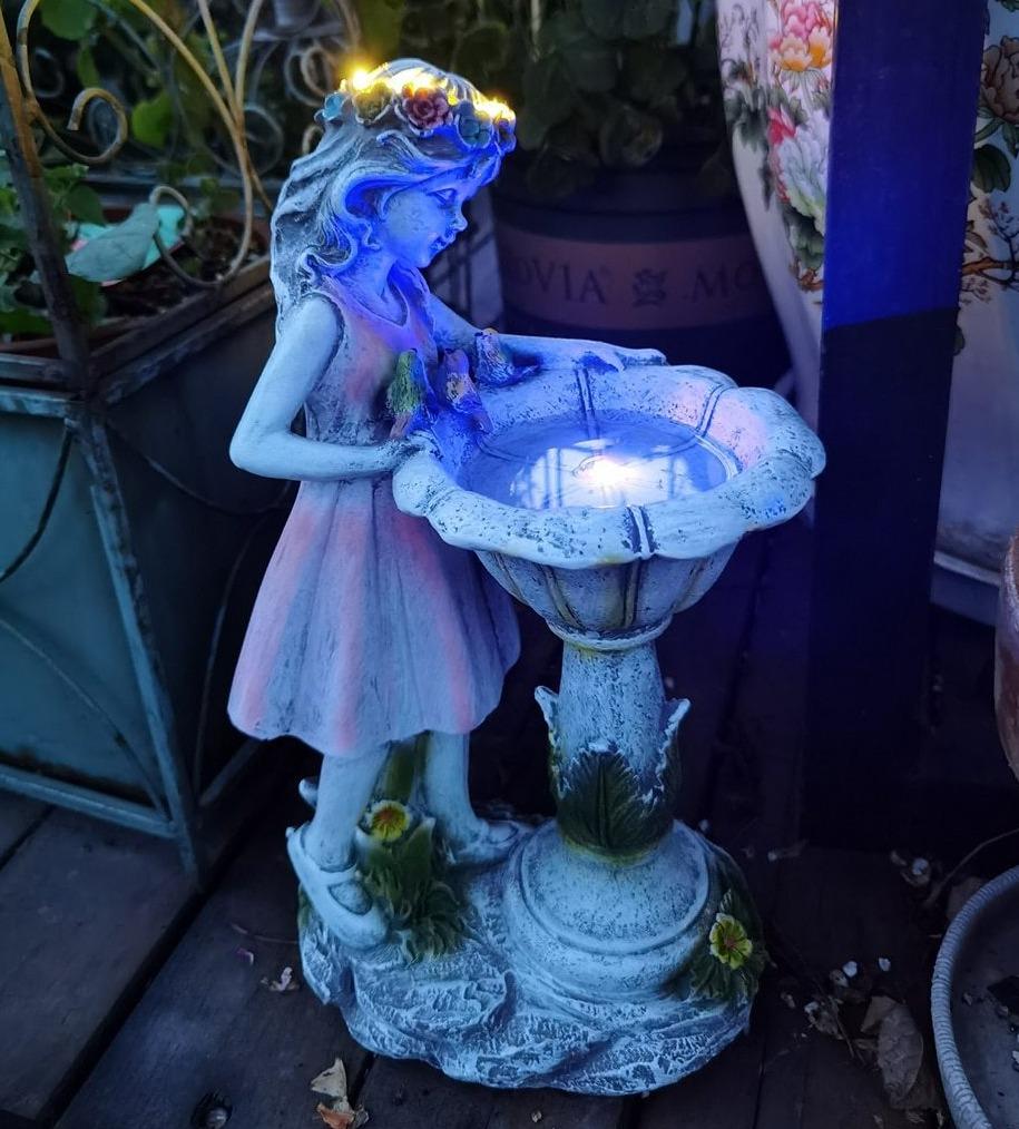 Bain solaire pour oiseaux