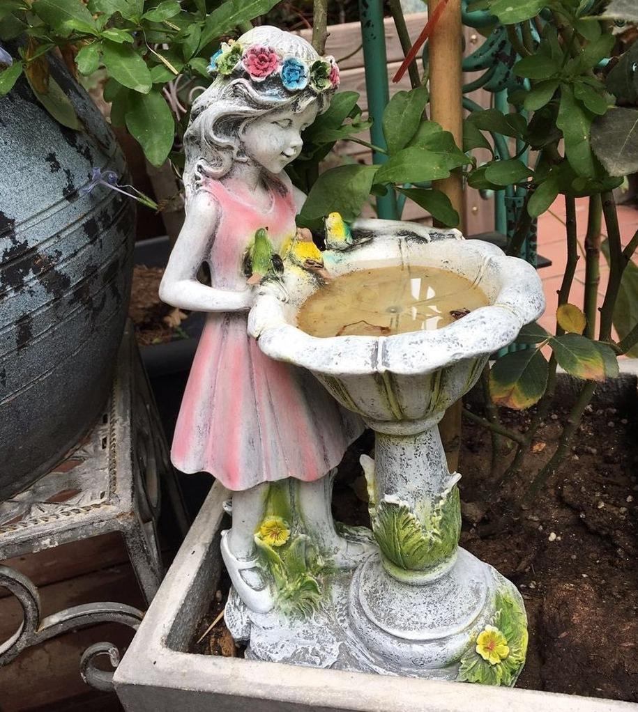 Bain solaire pour oiseaux