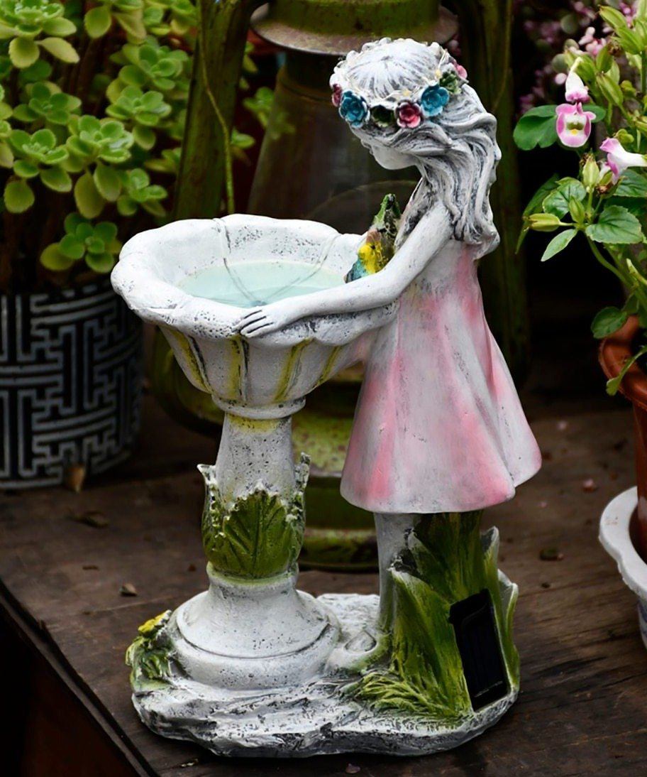 Bain solaire pour oiseaux