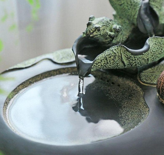 Fontaine intérieure naturelle