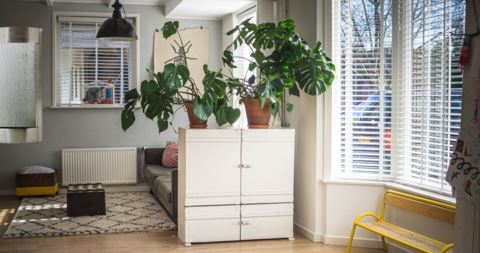 Mur deau salon