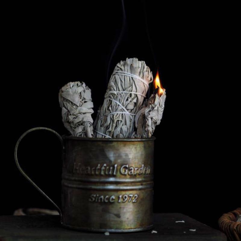 A brûler Sauge Blanche