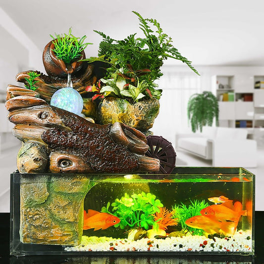 Aquarium pour Poisson avec Fontaine a Eau