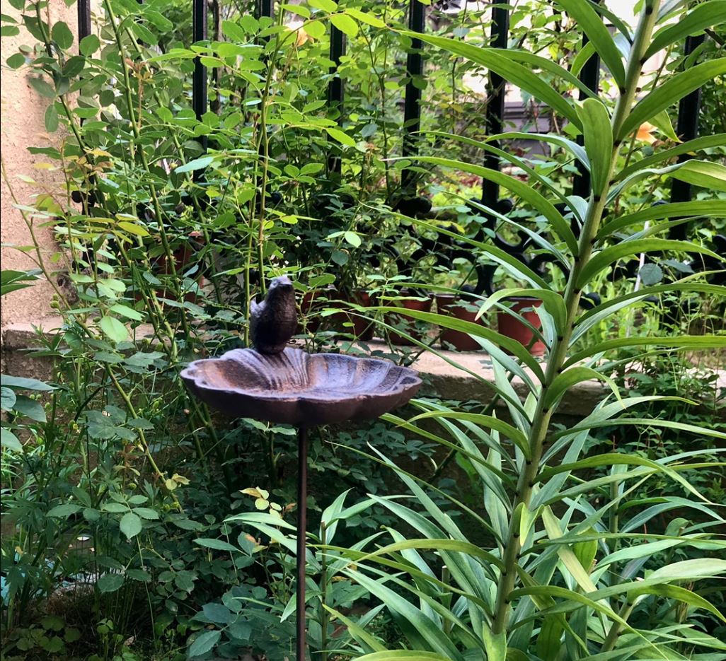 Fontaine à oiseaux sur pied
